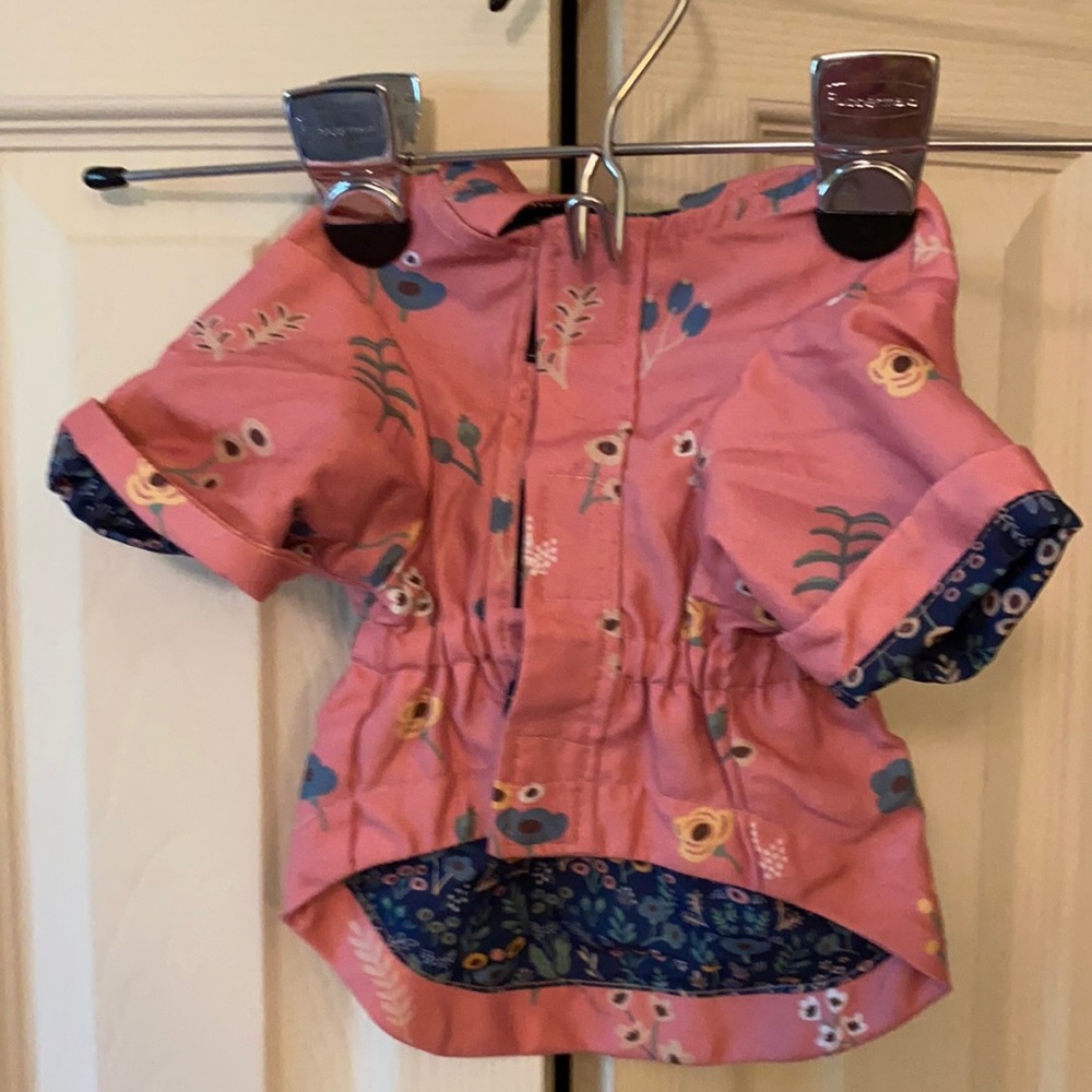 Cute jacket for cute puppy
